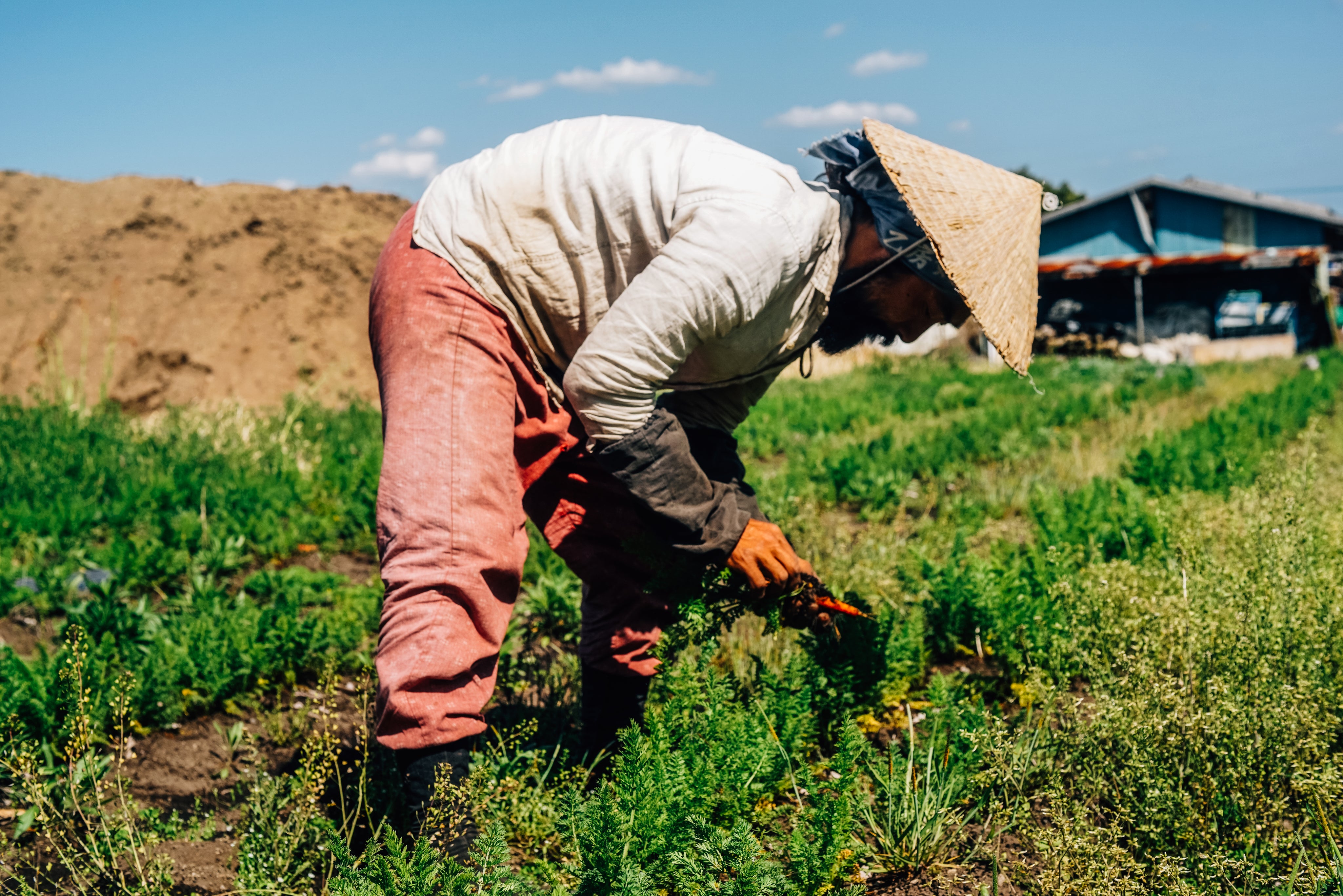 Agriculture